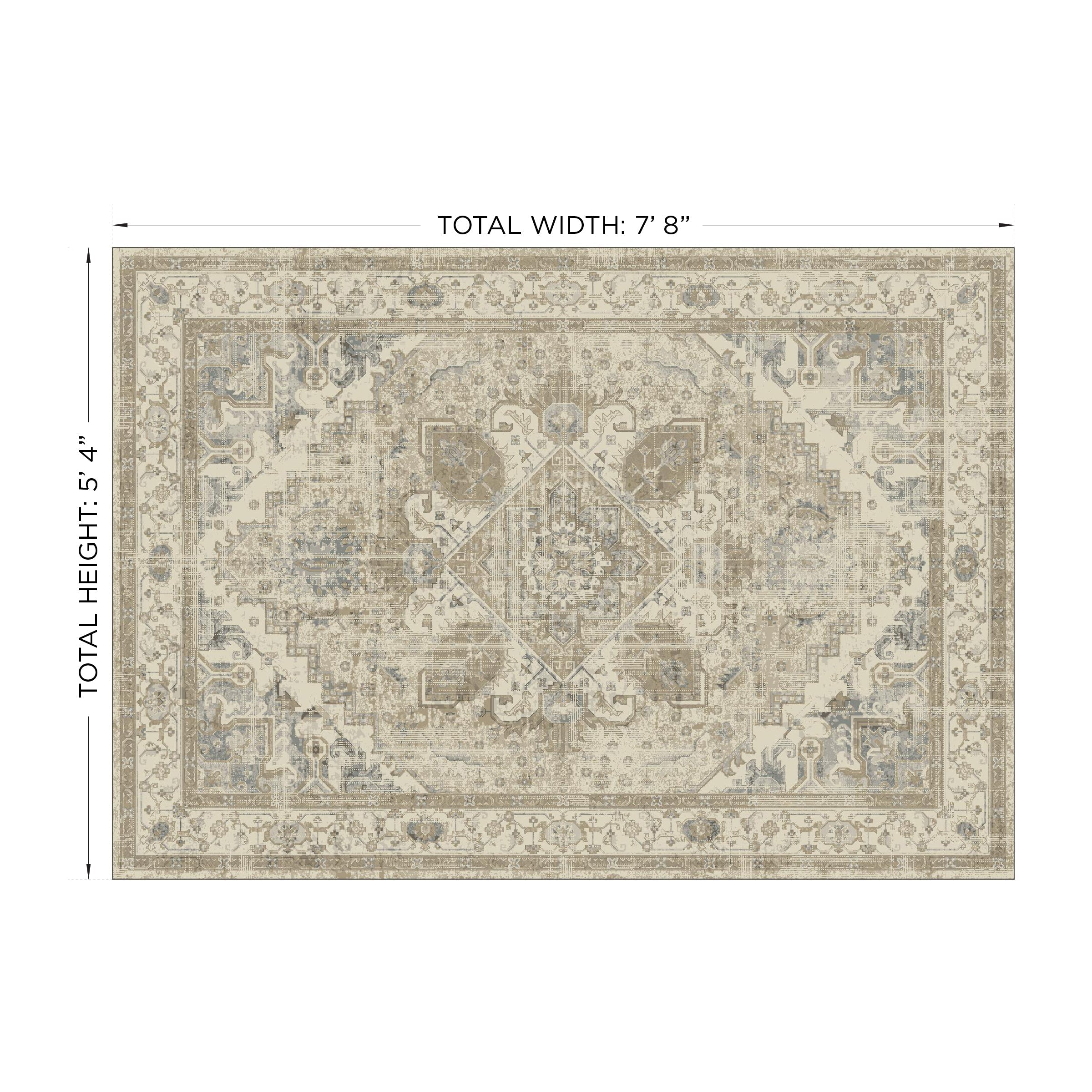 Medallion Traditional Rug