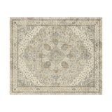 Medallion Traditional Rug