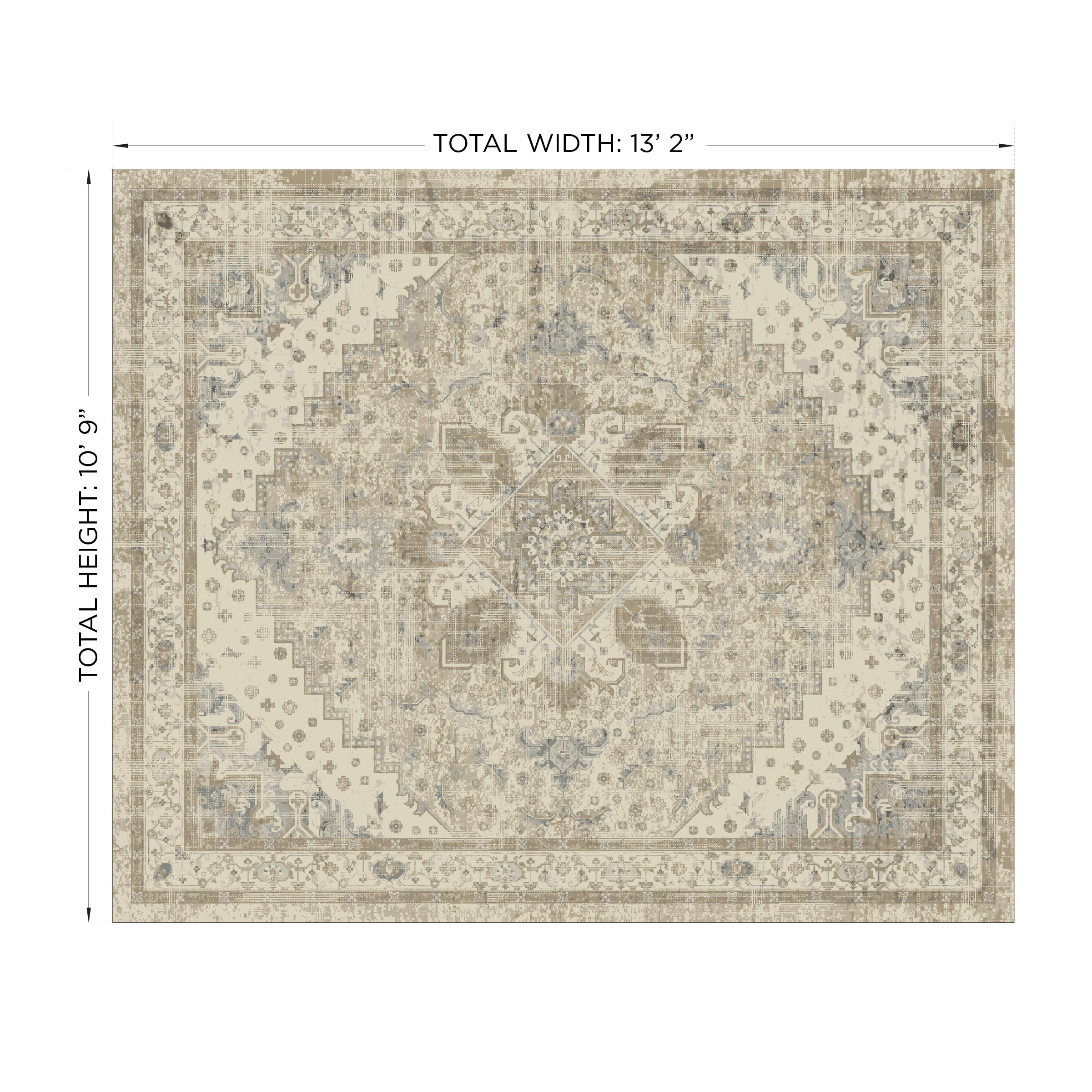 Medallion Traditional Rug