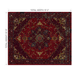 Medallion Traditional Rug