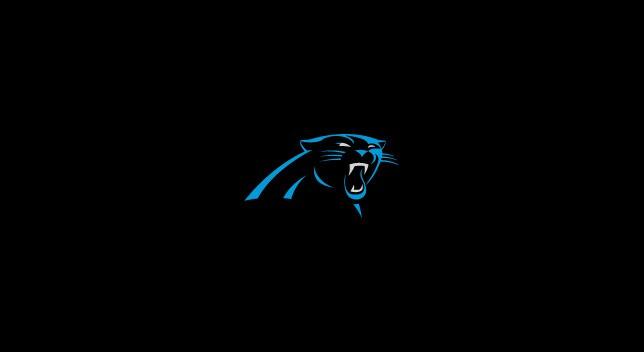 Imperial Carolina Panthers Billiard Cloth