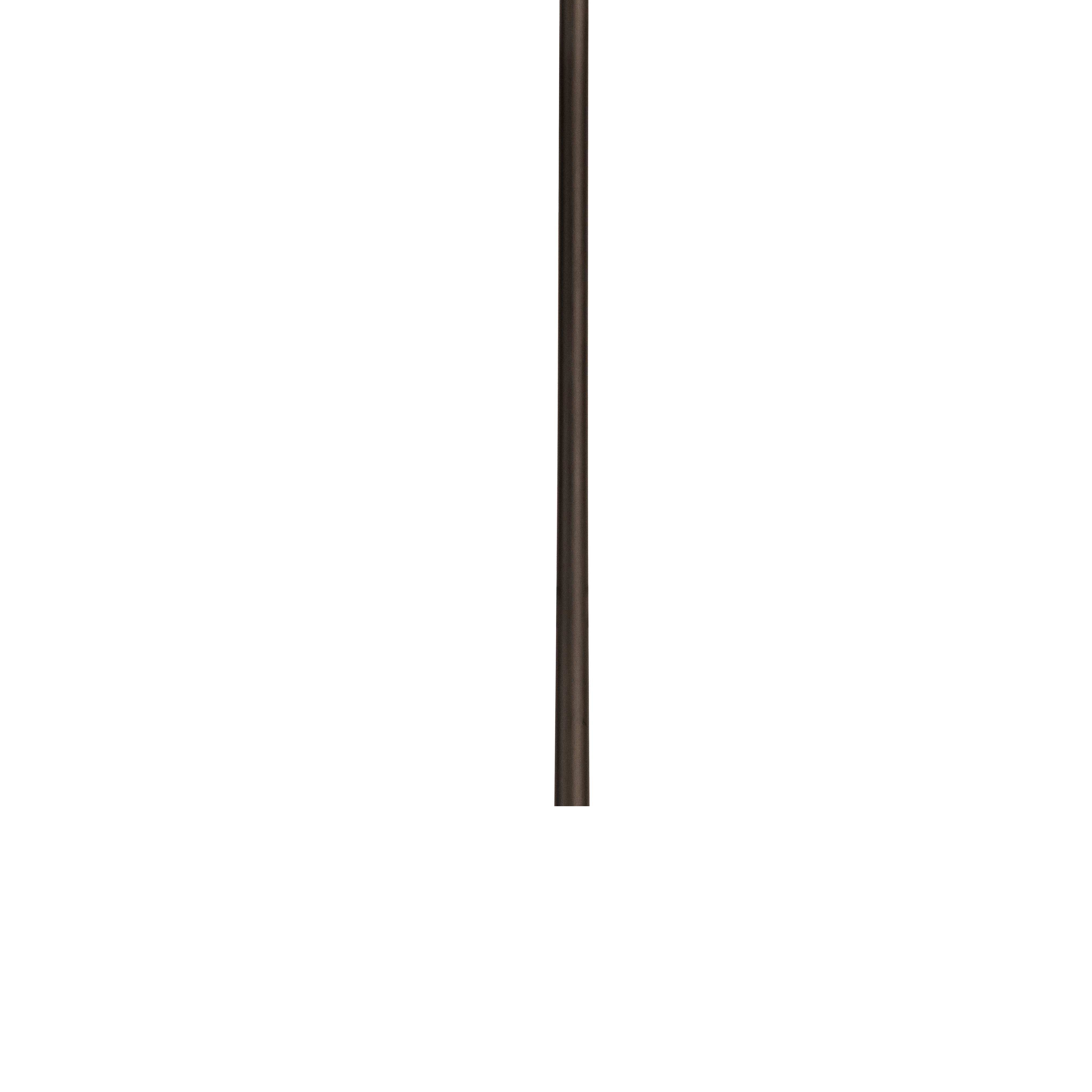 A single long, thin dark brown stick or rod centered vertically on a plain white background.